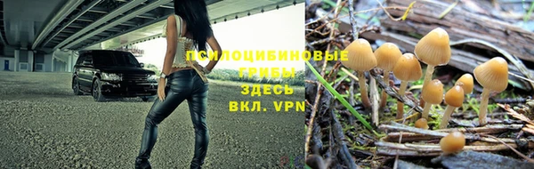 синтетический гашиш Вяземский