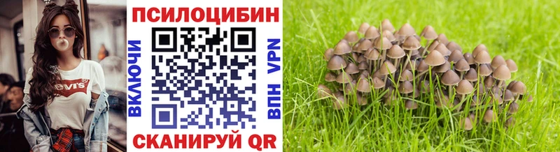 Купить  Губаха  Галлюциногенные грибы ЛСД 