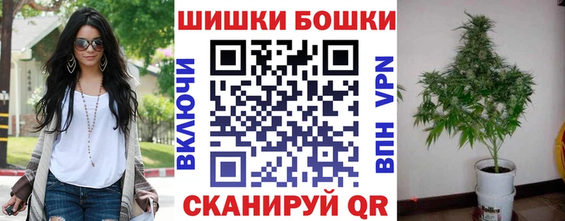 Купить где  Губаха  Шишки марихуана Amnesia 
